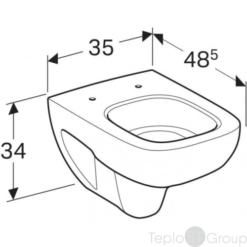 Чаша подвесного унитаза Geberit Renova Compact Square 206145000 - купить оптом у дилера TeploSTGroup по всей России ✅ ☎ 8 (800) 600-96-13 фото 3