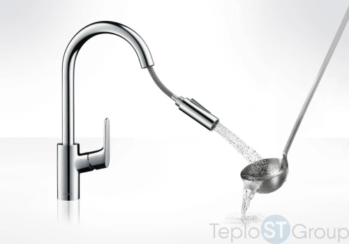 Душевая лейка Hansgrohe 100 98459800 хром - купить с доставкой по России фото 4