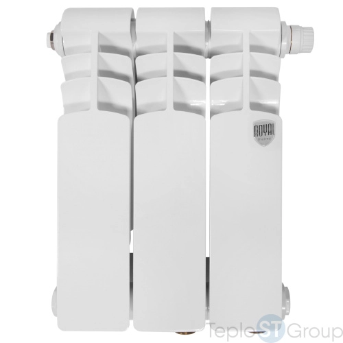 Радиатор Royal Thermo Vittoria Super 300 VDR - 3 секц. - купить оптом с доставкой по России фото 2