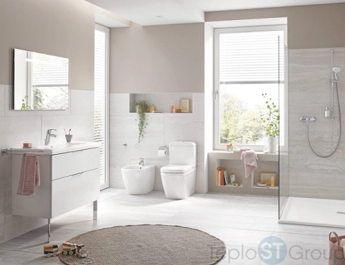 Биде напольное Grohe Euro Ceramic 39340000 - купить оптом с доставкой по России фото 4