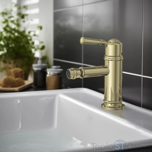 Смеситель для биде Aquatek Классик AQ1518PG - купить оптом с доставкой по России фото 3