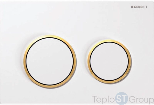 Смывная клавиша GEBERIT Omega 20 115.085.KK.1 - купить оптом с доставкой по России