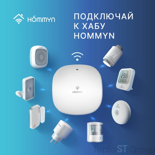 Розетка умная HOMMYN Smart Plug RKNZ01 - купить оптом у дилера TeploSTGroup по всей России ✅ ☎ 8 (800) 600-96-13 фото 3