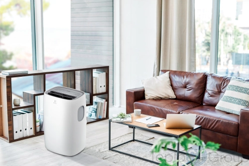 Кондиционер мобильный Electrolux EACM-15 CL/N3 - купить оптом с доставкой по России