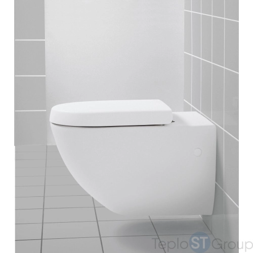 Подвесной унитаз Villeroy & Boch Subway  66001001 - купить с доставкой по России фото 5