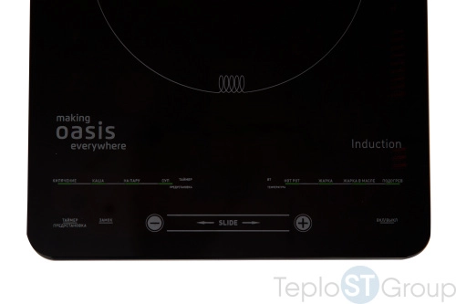 Индукционная плита Making Oasis Everywhere РI-B24SL - купить с доставкой по России фото 5