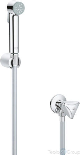 Гигиенический душ Grohe Tempesta-F 26357000 с угловым вентилем - купить с доставкой по России