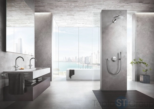 Ручной душ Grohe Sena Stick 26465000 ограничение расхода воды 6,6 л/мин, хром - купить оптом у дилера TeploSTGroup по всей России ✅ ☎ 8 (800) 600-96-13 фото 4