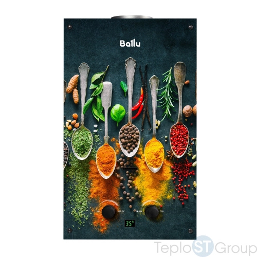 Колонка газовая Ballu GWH 10 Fiery Glass Curry - купить оптом с доставкой по России фото 2