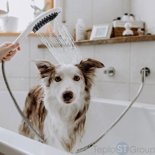 Ручной душ Hansgrohe DogShower 3jet 26640700, матовый белый - купить оптом с доставкой по России фото 2