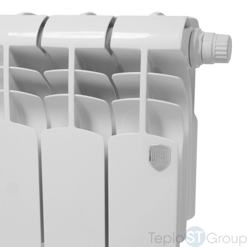 Радиатор Royal Thermo Vittoria Super 300 VDR - 3 секц. - купить оптом с доставкой по России фото 5