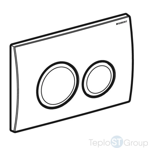 Смывная клавиша Geberit Delta20 115.127.11.1 - купить с доставкой по России фото 2