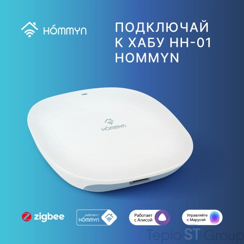 Сенсор открытия двери HOMMYN DS-20-Z - купить оптом у дилера TeploSTGroup по всей России ✅ ☎ 8 (800) 600-96-13 фото 7