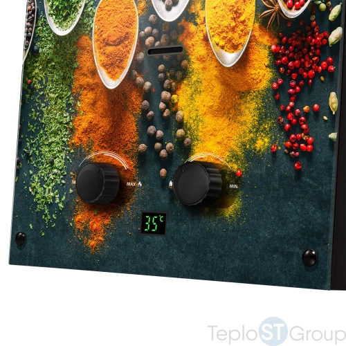 Колонка газовая Ballu GWH 10 Fiery Glass Curry - купить оптом с доставкой по России фото 11