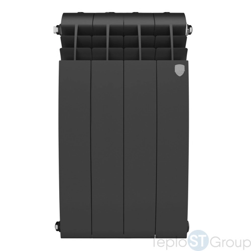 Радиатор Royal Thermo BiLiner 500 /Noir Sable - 4 секц. - купить оптом у дилера TeploSTGroup по всей России ✅ ☎ 8 (800) 600-96-13 фото 2