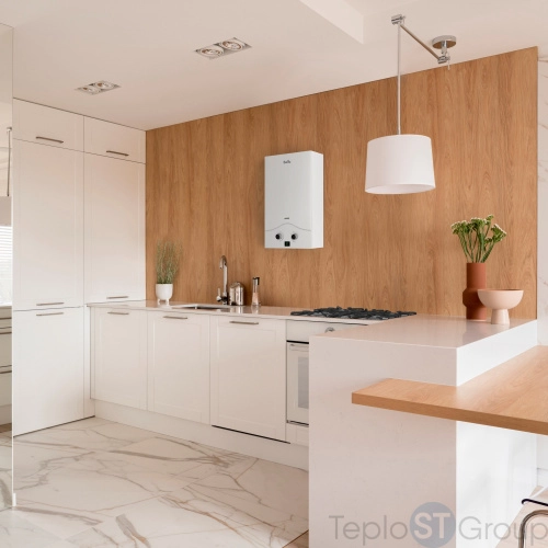 Колонка газовая Ballu GWH 10 Vance - купить оптом с доставкой по России фото 3