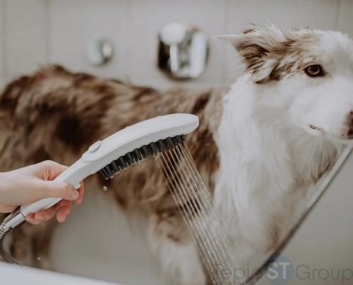 Ручной душ Hansgrohe DogShower 3jet 26640700, матовый белый - купить оптом с доставкой по России фото 5