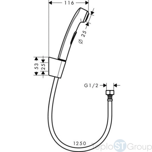 Гигиенический душ Hansgrohe 32129000 хром - купить с доставкой по России фото 4