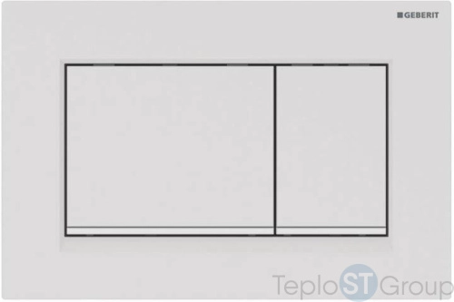Смывная клавиша GEBERIT Sigma 30 115.883.01.1 - купить оптом с доставкой по России