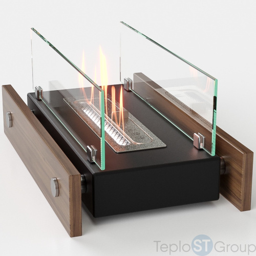 Биокамин Firelight BFP/T-4025 Wood - купить оптом с доставкой по России фото 5