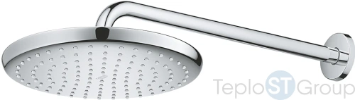 Верхний душ Grohe Tempesta 26668000 250, круглый - купить оптом у дилера TeploSTGroup по всей России ✅ ☎ 8 (800) 600-96-13 фото 2