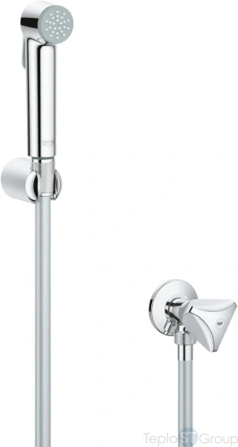 Гигиенический душ Grohe Tempesta-F 27514001 - купить с доставкой по России