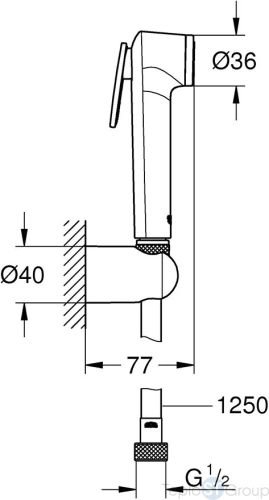 Набор для гигиенического душа Grohe Tempesta-F 27513001 - купить оптом с доставкой по России фото 2