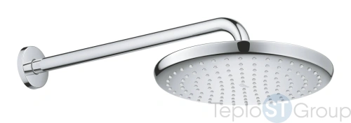 Верхний душ Grohe Tempesta 26668000 250, круглый - купить оптом у дилера TeploSTGroup по всей России ✅ ☎ 8 (800) 600-96-13