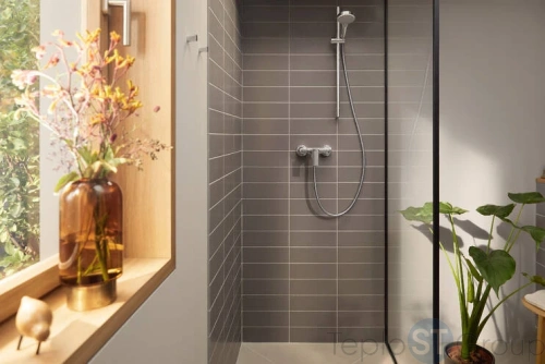 Смеситель для душа Hansgrohe Rebris 72650000 - купить с доставкой по России фото 2