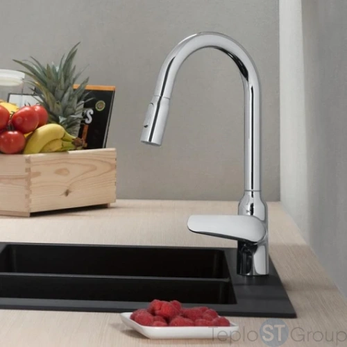 Смеситель для кухни Hansgrohe Focus M42 71800000 с вытяжным душем хром - купить оптом у дилера TeploSTGroup по всей России ✅ ☎ 8 (800) 600-96-13 фото 2