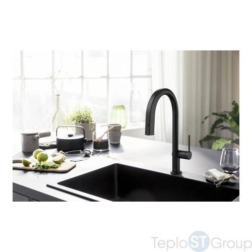 Смеситель для кухни Hansgrohe Aqittura M91 76803670 с подключением к фильтру - купить с доставкой по России фото 2