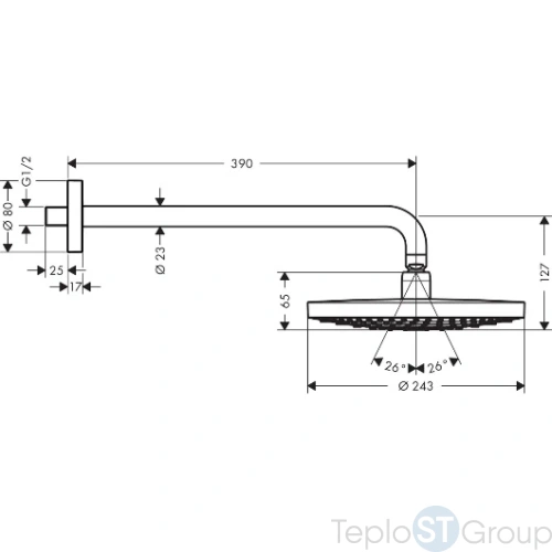 Верхний душ Hansgrohe Raindance Select 26466000 хром - купить оптом у дилера TeploSTGroup по всей России ✅ ☎ 8 (800) 600-96-13 фото 5