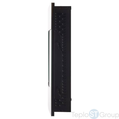 Электрокамин Electrolux EFP/W-2000S Silver - купить оптом с доставкой по России фото 4
