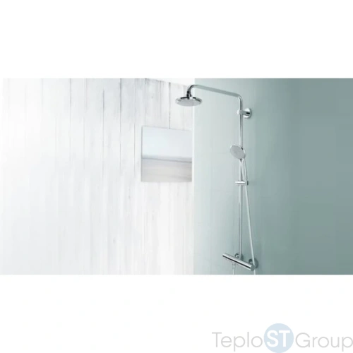 Ручной душ Grohe Euphoria massage 110 27221000 - купить оптом у дилера TeploSTGroup по всей России ✅ ☎ 8 (800) 600-96-13 фото 6