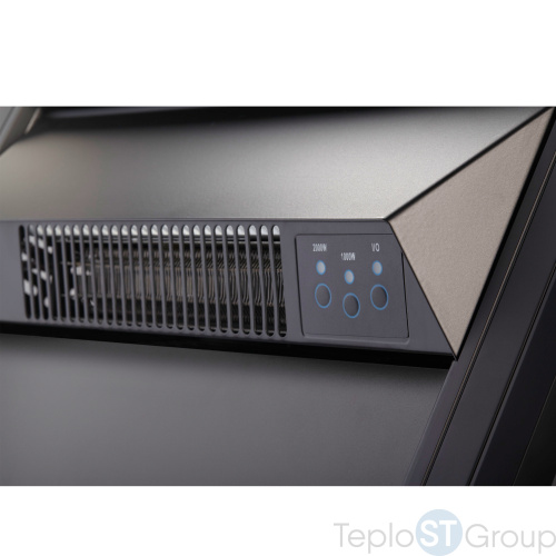 Очаг электрический Electrolux Classic EFP/P-1020LS - купить оптом с доставкой по России фото 4