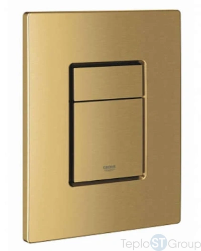 Накладная панель Grohe Skate Cosmopolitan 38732GN0 - купить оптом с доставкой по России