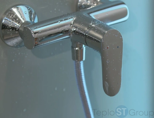 Смеситель Hansgrohe Focus E2 31960000 для душа - купить оптом у дилера TeploSTGroup по всей России ✅ ☎ 8 (800) 600-96-13 фото 2