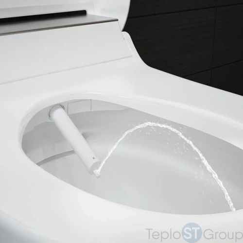 Подвесной унитаз-биде GEBERIT AquaClean Tuma Comfort 146.294.SI.1 (панель белое стекло) - купить с доставкой по России фото 6