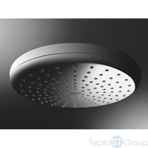 Верхний душ Grohe Tempesta 26408000 - купить оптом у дилера TeploSTGroup по всей России ✅ ☎ 8 (800) 600-96-13 фото 5