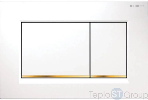 Смывная клавиша GEBERIT Sigma 30 115.883.KK.1 - купить оптом с доставкой по России