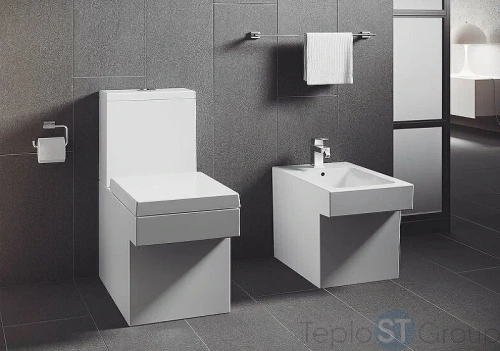 Смеситель для биде Grohe Eurocube 23138000 - купить оптом у дилера TeploSTGroup по всей России ✅ ☎ 8 (800) 600-96-13 фото 4