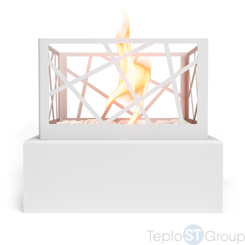 Биокамин Firelight BFP-T185BFW Bonfire White - купить оптом с доставкой по России фото 6