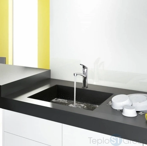 Смеситель для кухни Hansgrohe Focus E2 31806000 - купить с доставкой по России фото 2