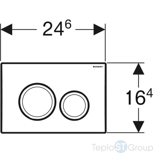 Смывная клавиша Geberit Delta20 115.127.21.1 - купить с доставкой по России фото 3