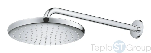 Верхний душ с кронштейном GROHE Tempesta 250 26663000 хром - купить оптом у дилера TeploSTGroup по всей России ✅ ☎ 8 (800) 600-96-13 фото 9