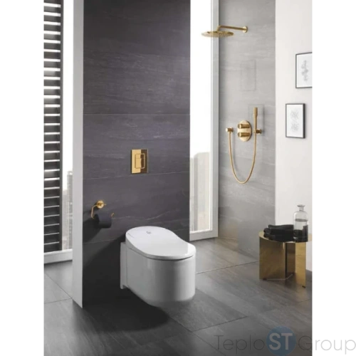 Накладная панель Grohe Skate Cosmopolitan 38732GN0 - купить с доставкой по России фото 2