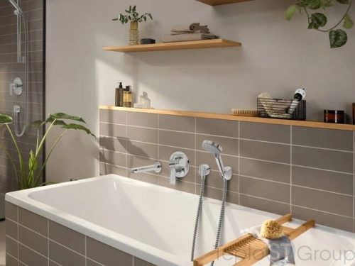 Смеситель для душа Hansgrohe Rebris 72468000 - купить с доставкой по России фото 2