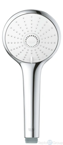 Душевая лейка Grohe Euphoria 110 Massage 27221001 - купить с доставкой по России