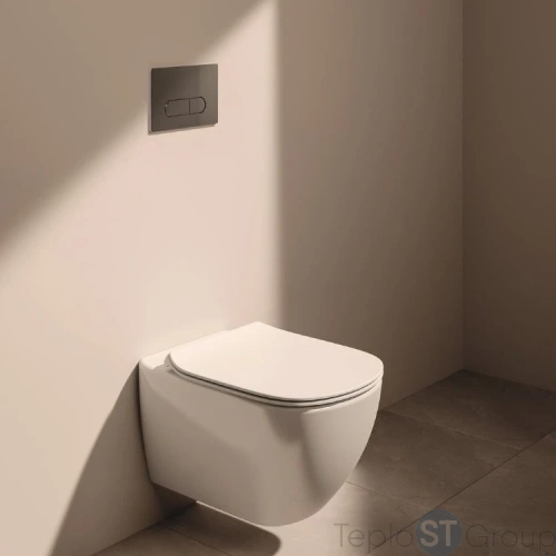 Кнопка смыва Ideal Standard OLEAS™ M1 SmartFlush R0117AA двойной смыв - купить с доставкой по России фото 4