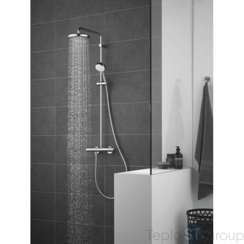 Верхний душ Grohe Tempesta 26408000 - купить оптом у дилера TeploSTGroup по всей России ✅ ☎ 8 (800) 600-96-13 фото 2